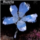 Runrig - Flower Of The West